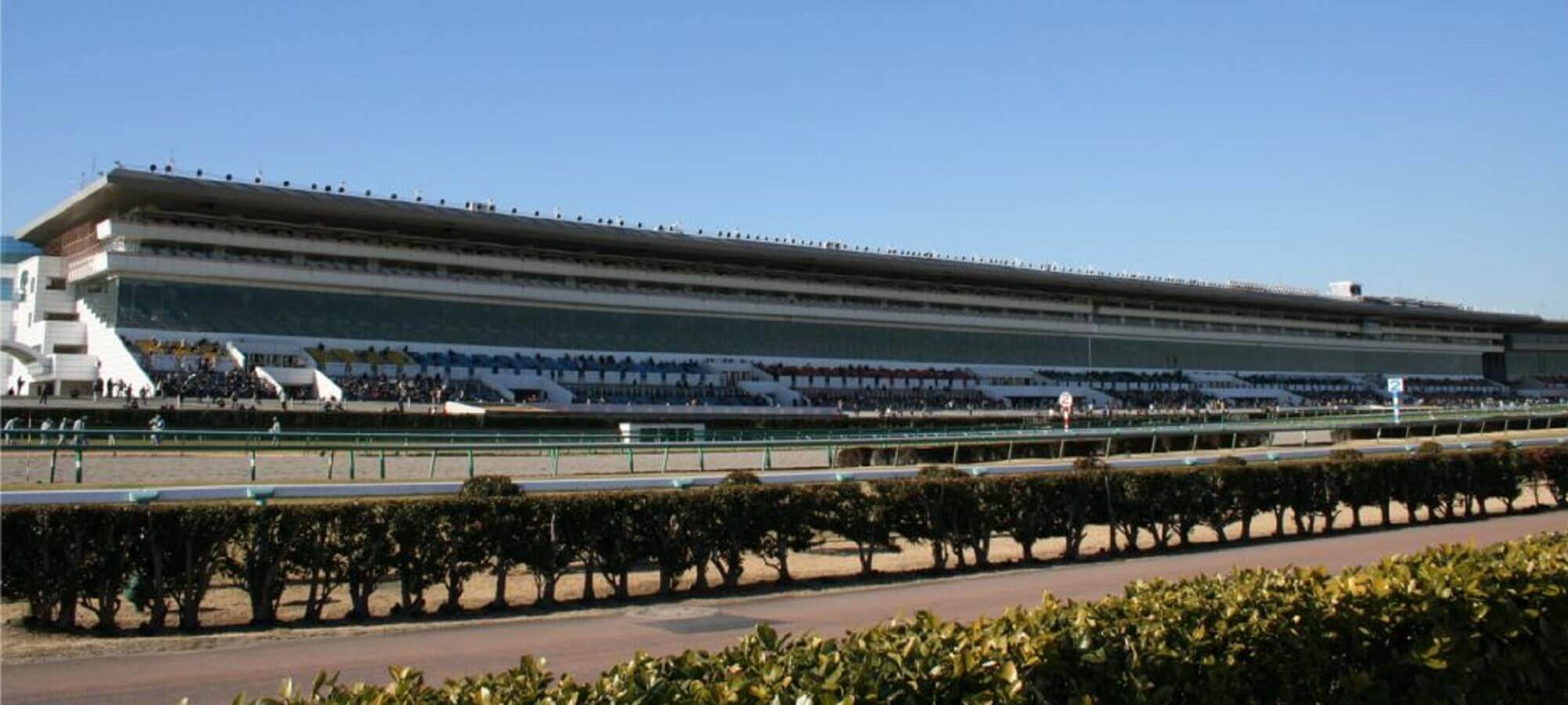 中山競馬場