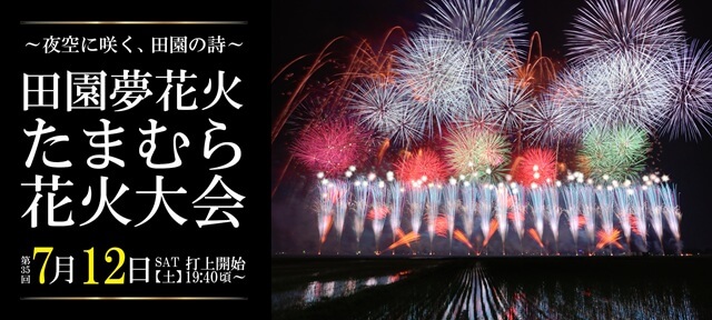 田園夢花火 たまむら花火大会